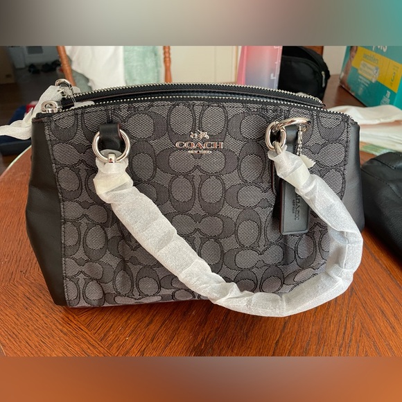 Coach F36719 Mini Christie Carryall with Pleats in Silver/Black Smoke/Black - Picture 2 of 14